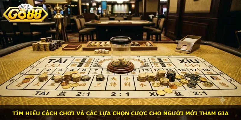 Tìm hiểu cách chơi và các lựa chọn cược cho người mới tham gia